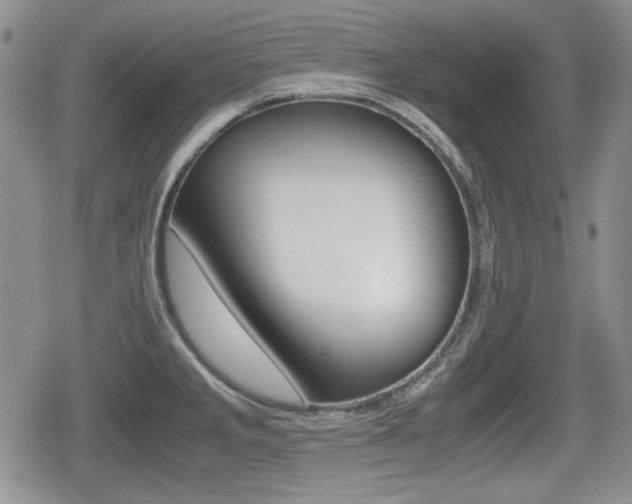 X0000079341285200611170923