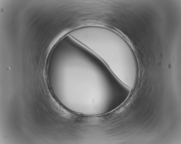 X0000079341293200611170922