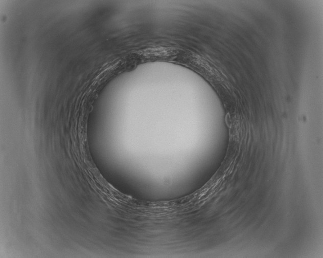 X0000079341297200611170922