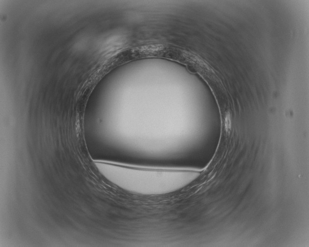 X0000079341299200611170922