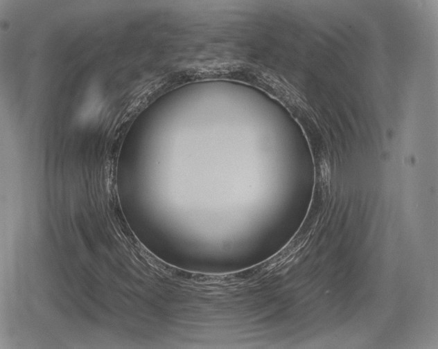 X0000079341300200611170922
