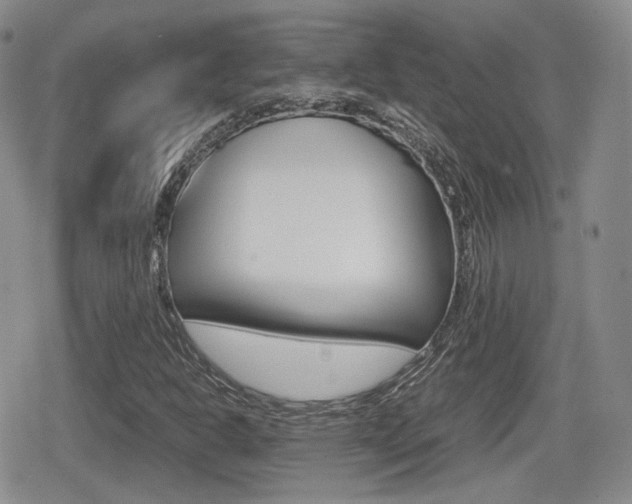 X0000079341302200611170922