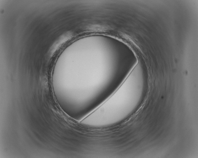 X0000079341307200611170922