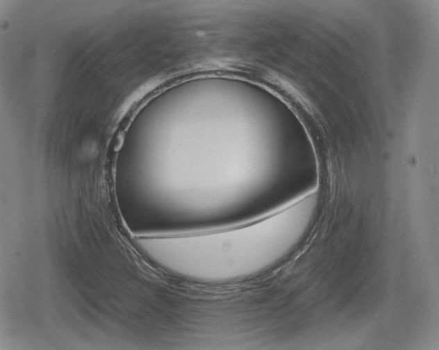 X0000079341308200611170922