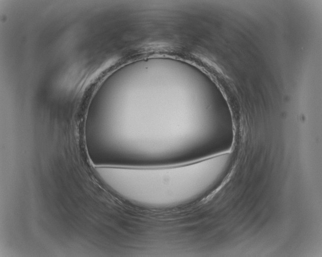 X0000079341309200611170922