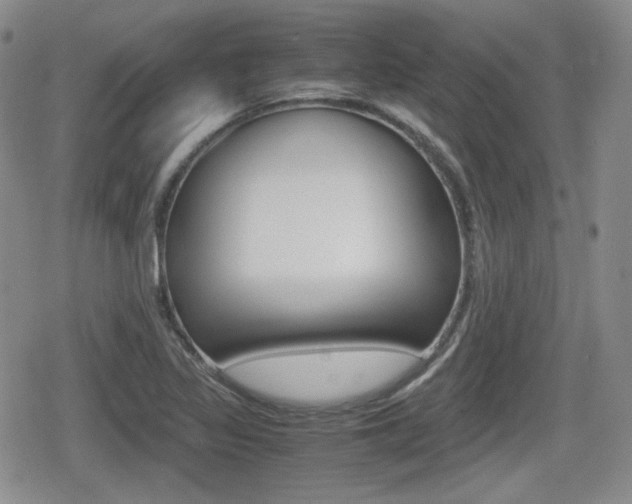 X0000079341317200611170922