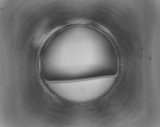 X0000079341323200611170922