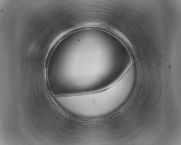 X0000079341324200611170922