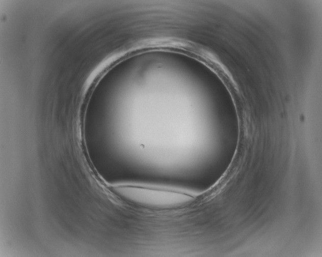X0000079341328200611170922