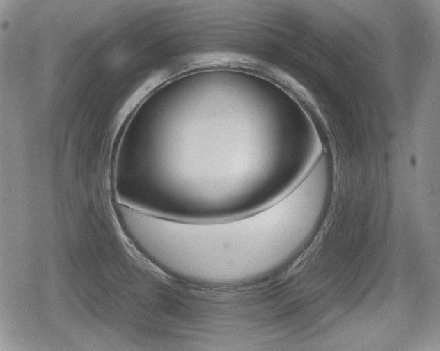 X0000079341330200611170922