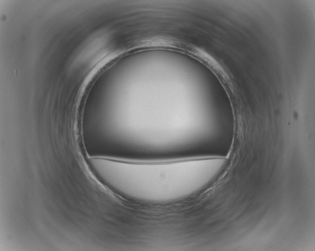 X0000079341331200611170922