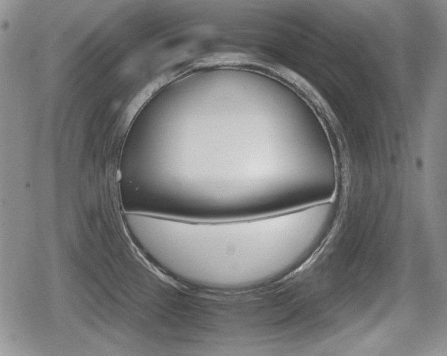 X0000079341337200611170922