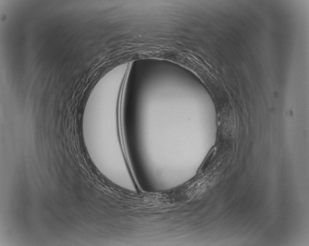 X0000079341345200611170922