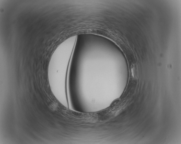 X0000079341347200611170922
