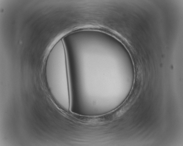 X0000079341367200611170921