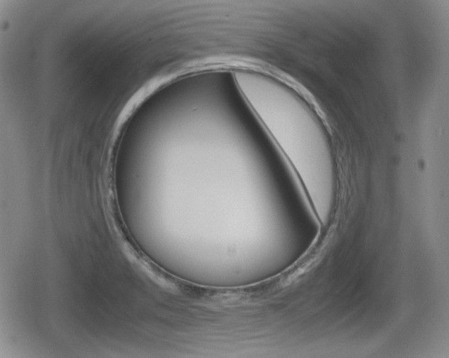 X0000079341373200611170921