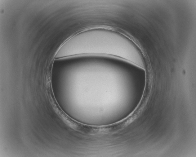 X0000079341377200611170921