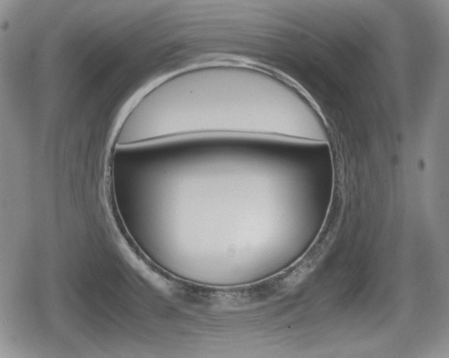X0000079341379200611170921