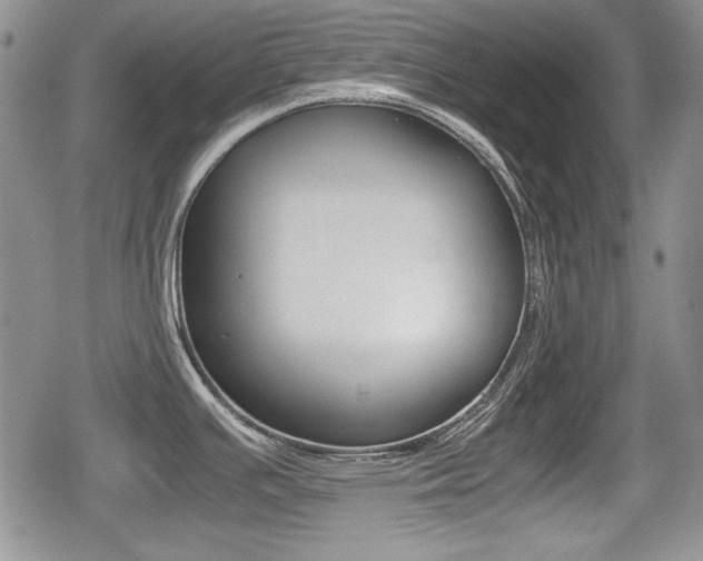 X0000079341391200611170921