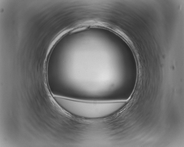 X0000079341392200611170921