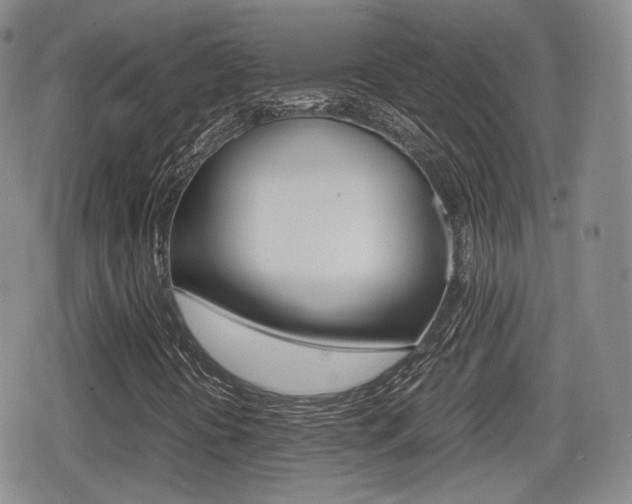 X0000079341394200611170920