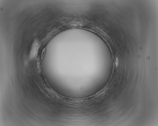 X0000079341396200611170920