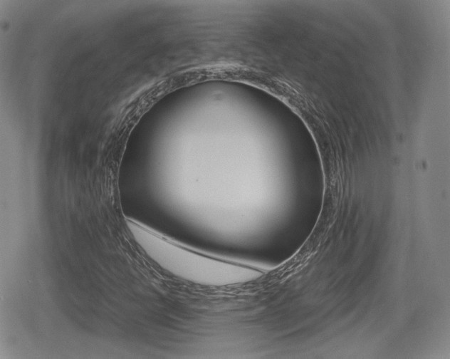 X0000079341398200611170920