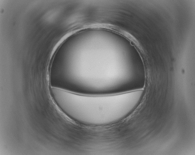 X0000079341428200611170921