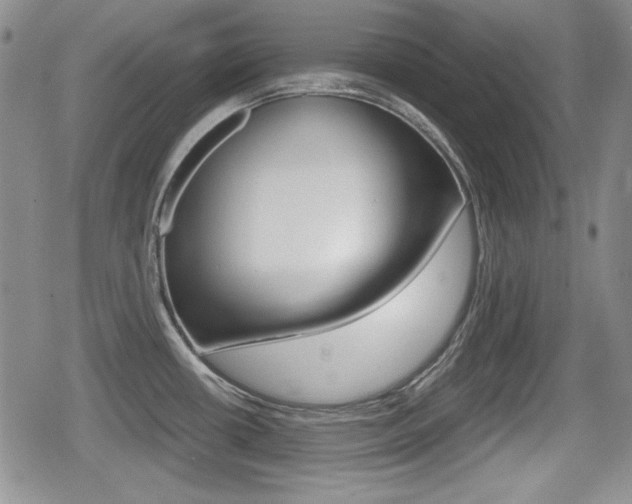 X0000079341434200611170921