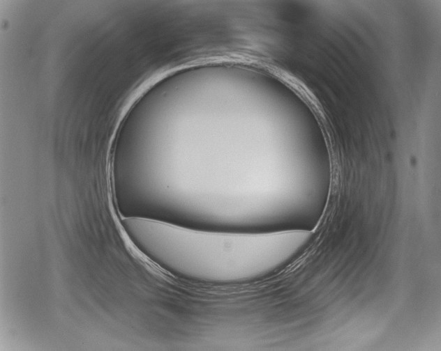 X0000079341439200611170921