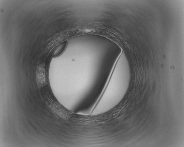 X0000079341442200611170920