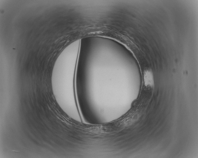 X0000079341444200611170920