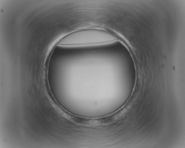 X0000079341463200611170920