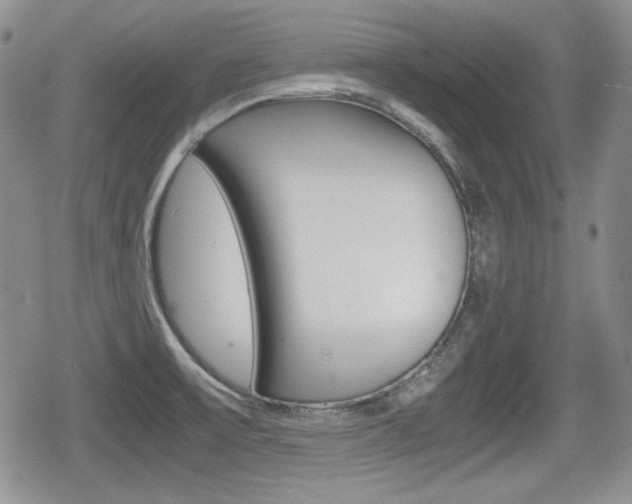 X0000079341475200611170919