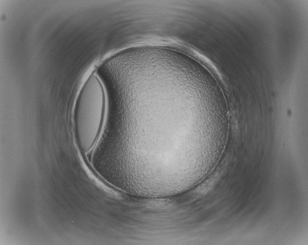 X0000079341479200611170919