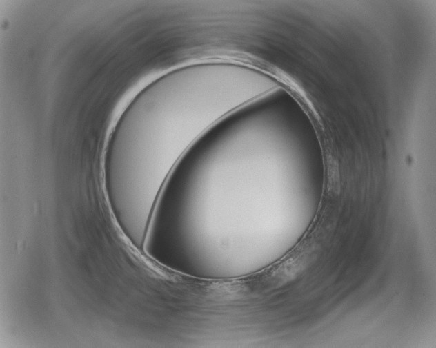 X0000079341480200611170919
