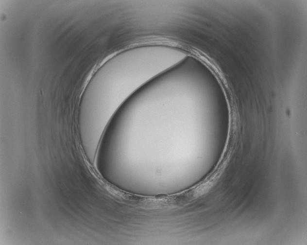 X0000079341481200611170919