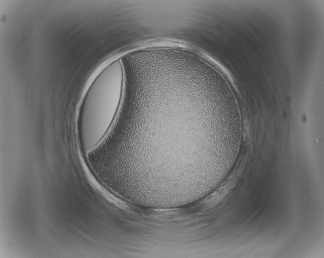 X0000079341483200611170919