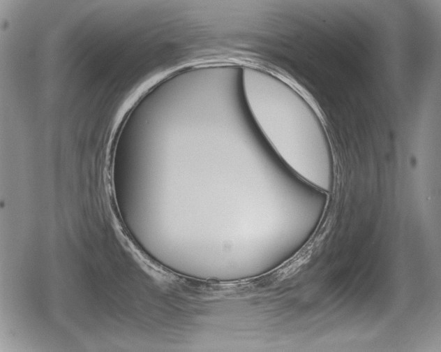 X0000079341485200611170919