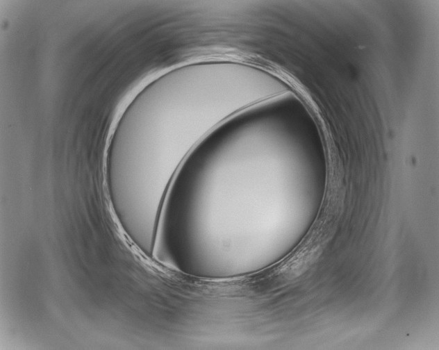 X0000079341488200611170919