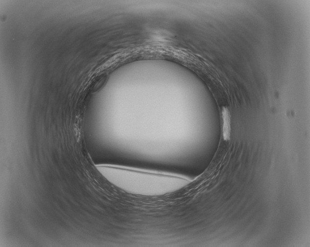 X0000079341491200611170919