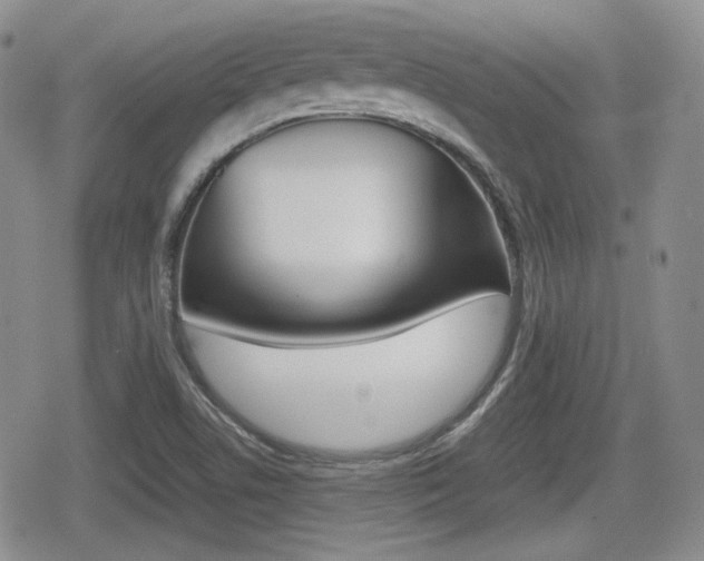 X0000079341506200611170919