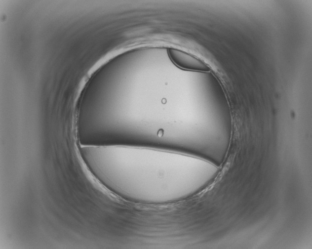 X0000079341526200611170919