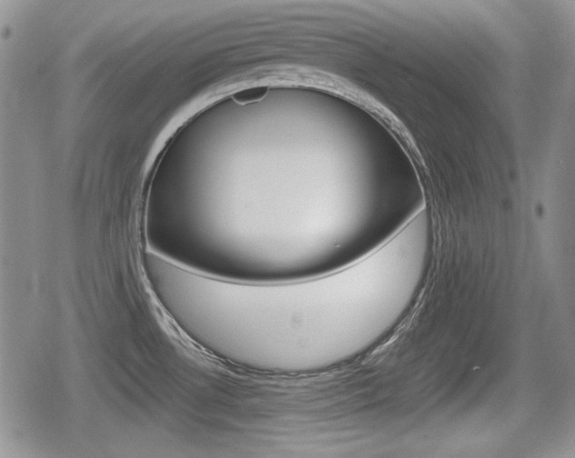 X0000079341530200611170919