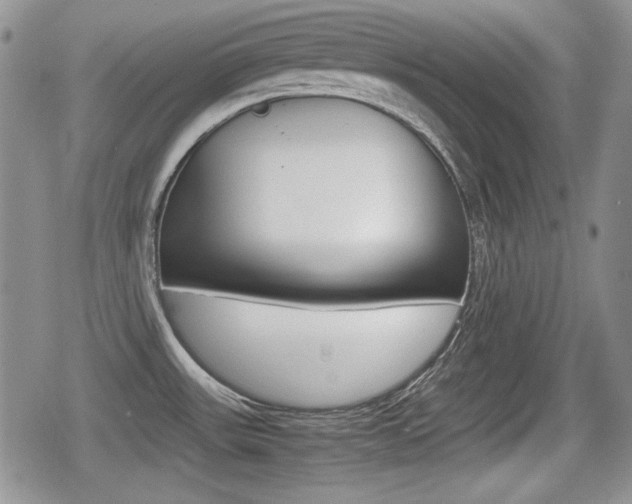 X0000079341531200611170919