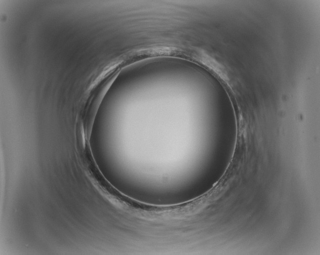 X0000079340013200611171137