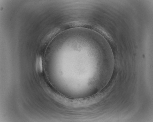 X0000079340022200611171136