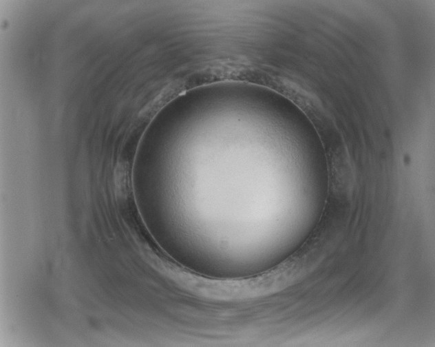 X0000079340034200611171136