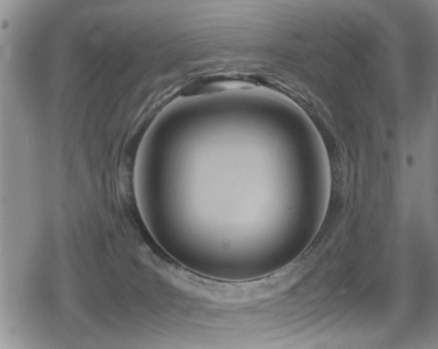 X0000079340035200611171136
