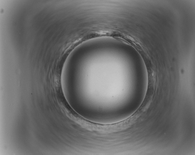 X0000079340039200611171136